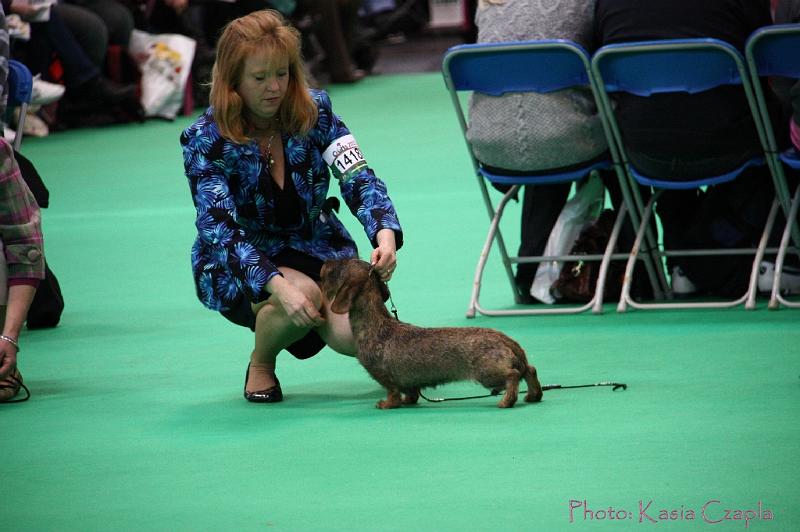 Crufts2011_2 1278.jpg